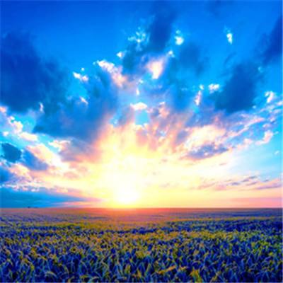 新宝十大登录平台